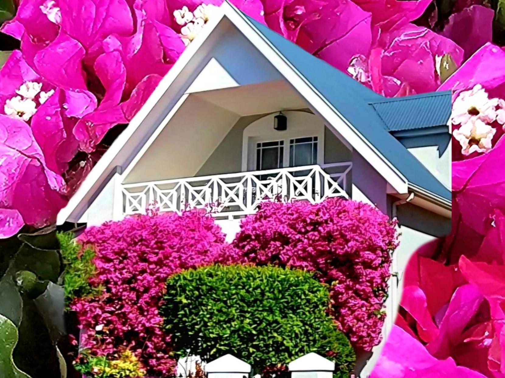 Fleur Du Soleil Luxury Guesthouse Franschhoek Ngoại thất bức ảnh
