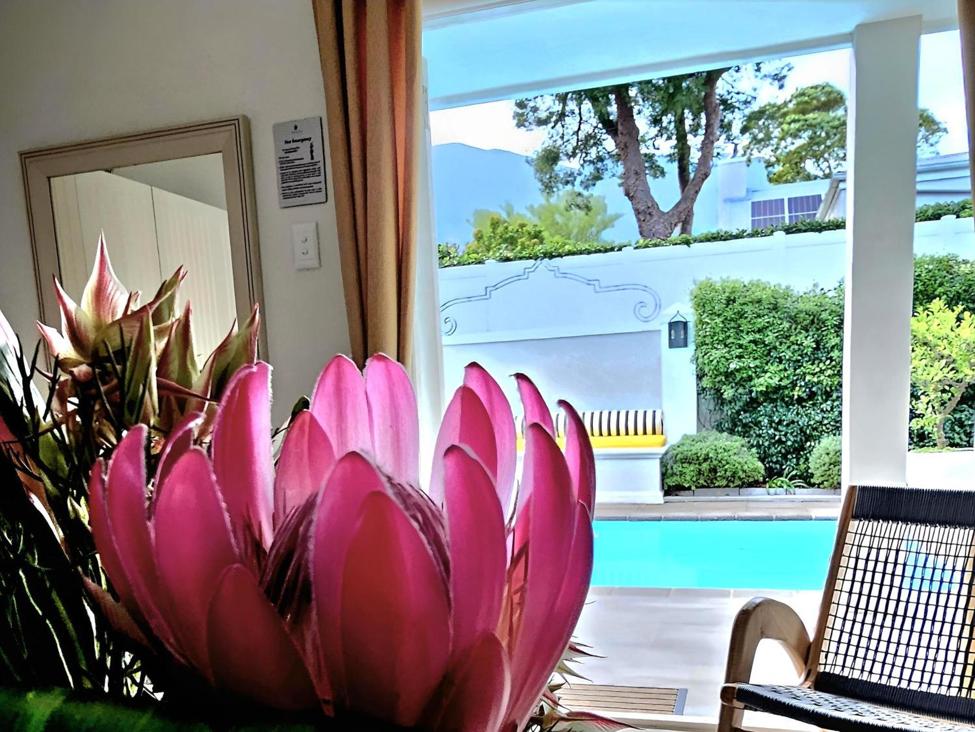 Fleur Du Soleil Luxury Guesthouse Franschhoek Ngoại thất bức ảnh