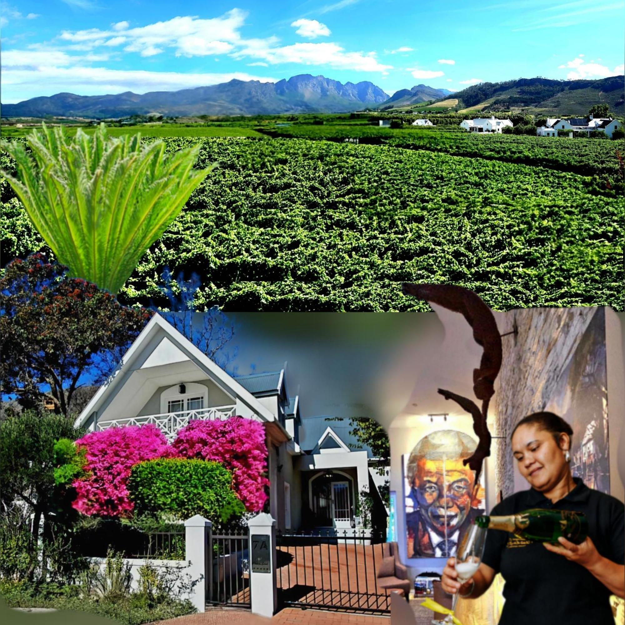 Fleur Du Soleil Luxury Guesthouse Franschhoek Ngoại thất bức ảnh